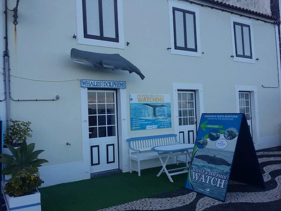 Alojamento Bela Vista Lajes do Pico Zewnętrze zdjęcie